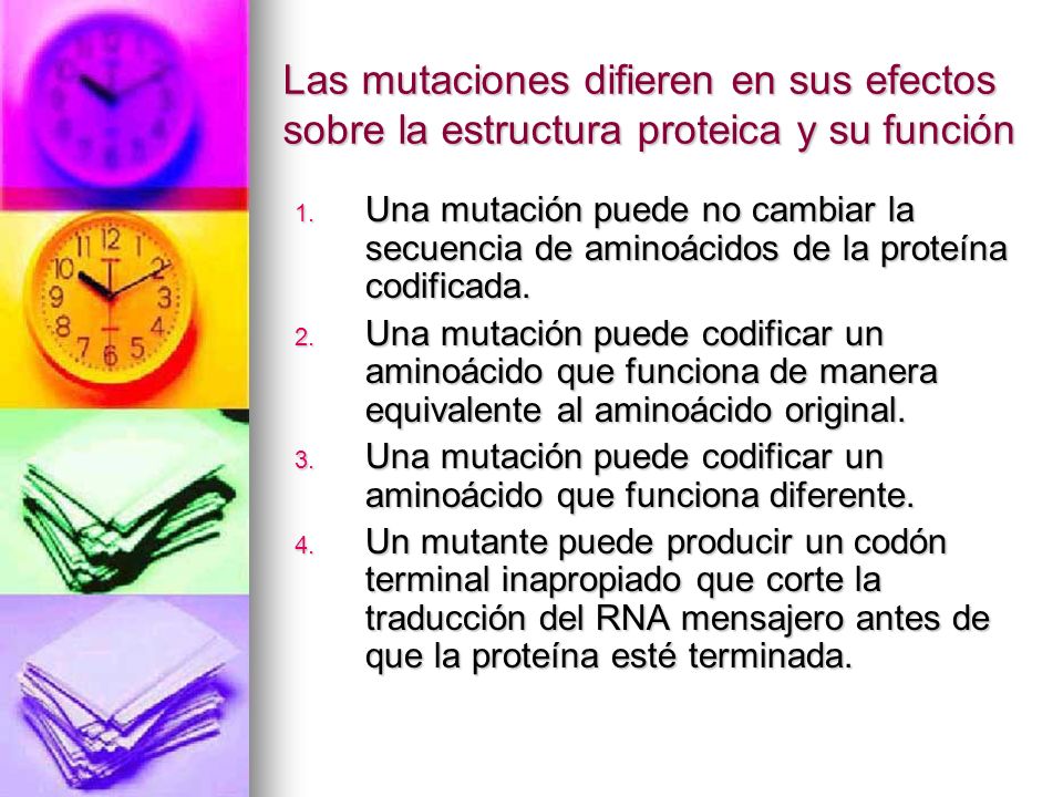 Las mutaciones difieren en sus efectos sobre la estructura proteica y su función
