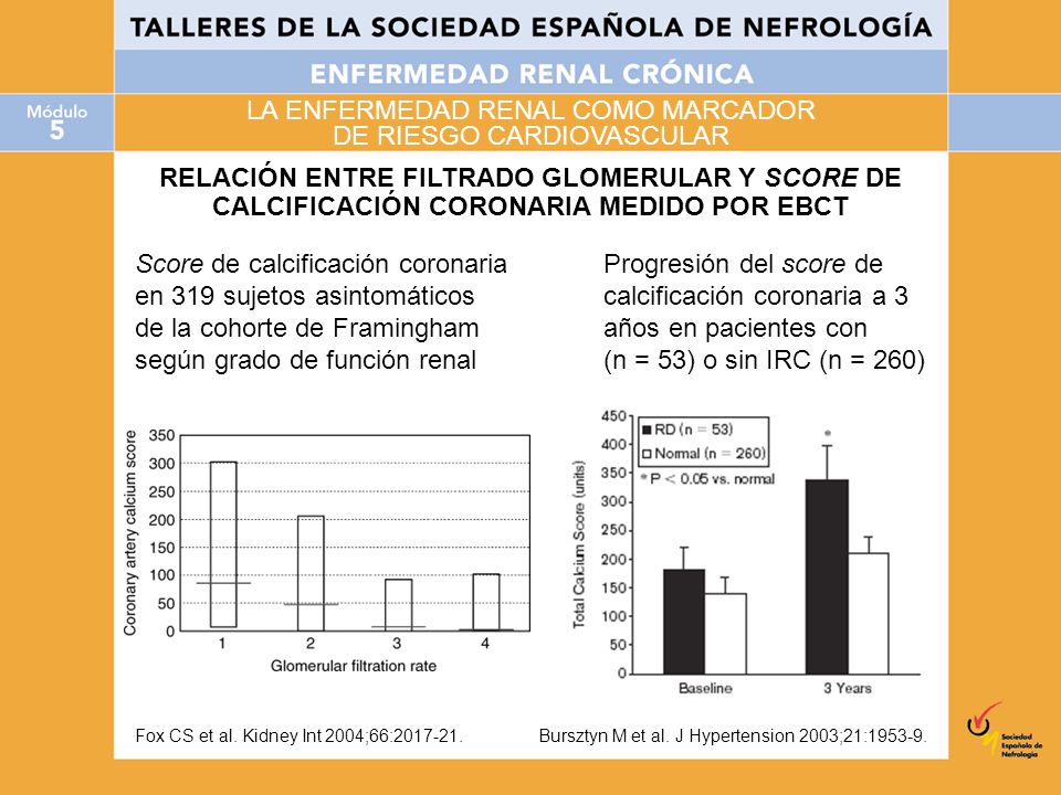 LA ENFERMEDAD RENAL COMO MARCADOR DE RIESGO CARDIOVASCULAR