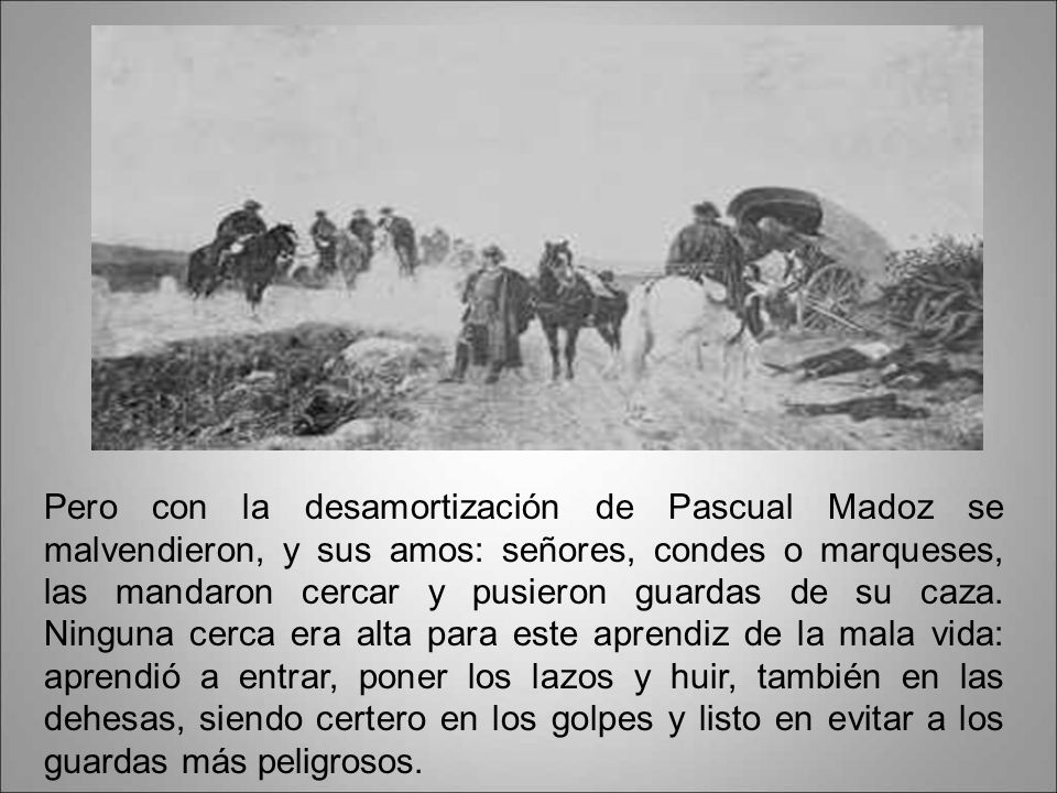 Pero con la desamortización de Pascual Madoz se malvendieron, y sus amos: señores, condes o marqueses, las mandaron cercar y pusieron guardas de su caza.