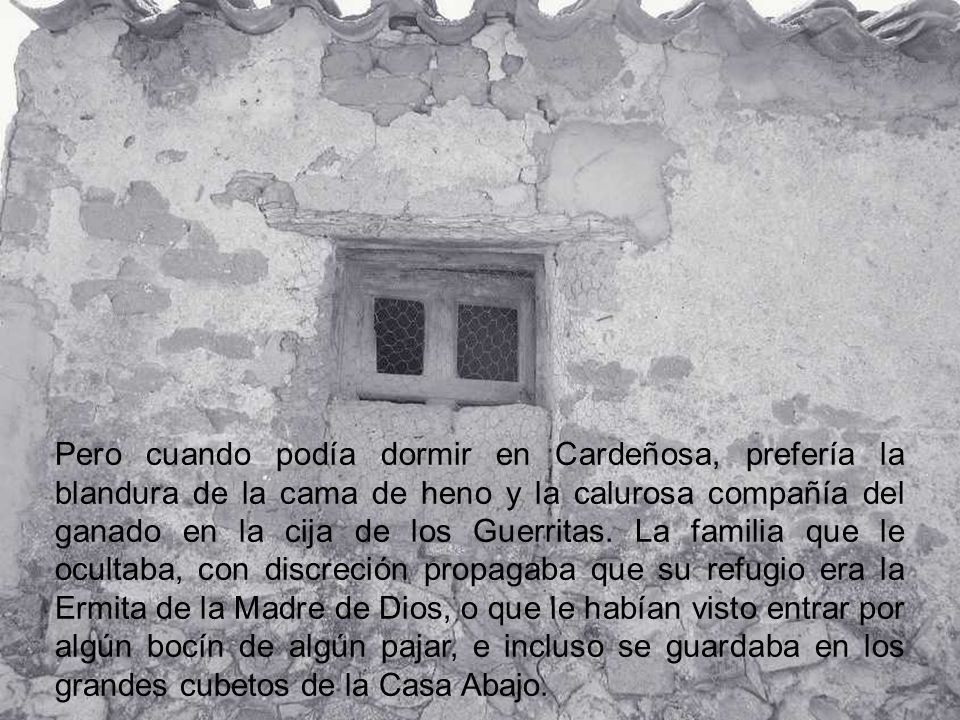 Pero cuando podía dormir en Cardeñosa, prefería la blandura de la cama de heno y la calurosa compañía del ganado en la cija de los Guerritas.