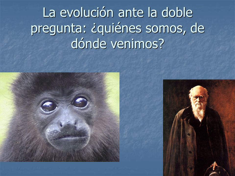 La evolución ante la doble pregunta: ¿quiénes somos, de dónde venimos