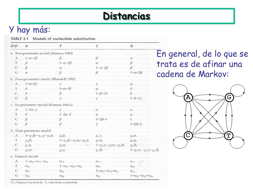 Distancias Y hay más: A G T C En general, de lo que se trata es de afinar una cadena de Markov: