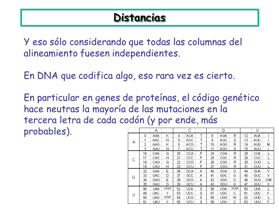 Distancias Y eso sólo considerando que todas las columnas del alineamiento fuesen independientes. En DNA que codifica algo, eso rara vez es cierto.