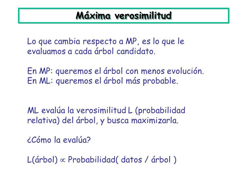 Máxima verosimilitud Lo que cambia respecto a MP, es lo que le evaluamos a cada árbol candidato. En MP: queremos el árbol con menos evolución.