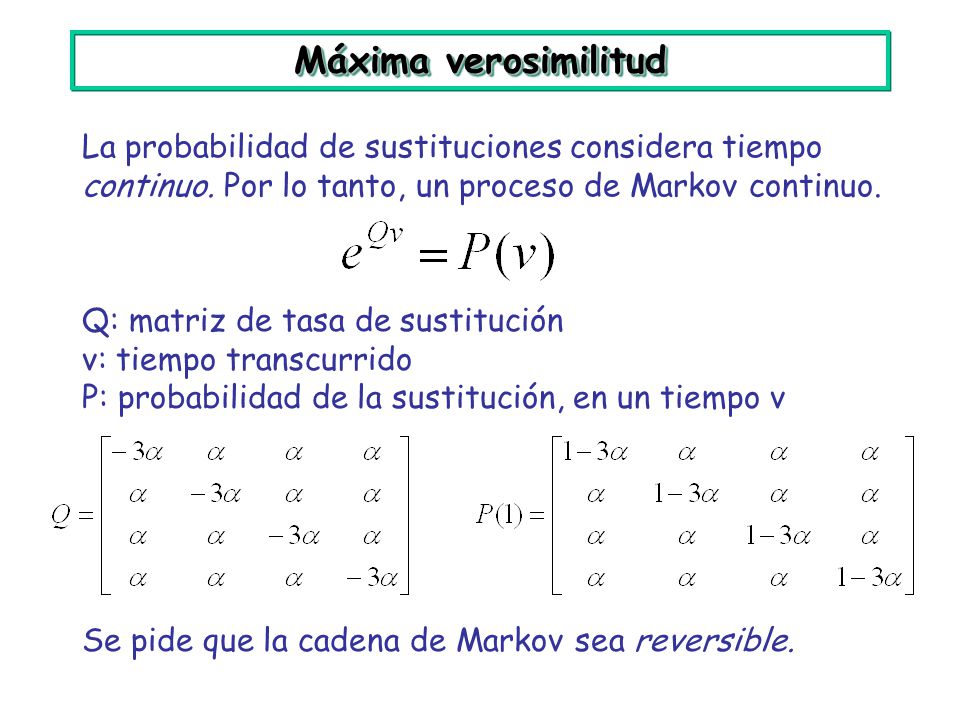 Máxima verosimilitud La probabilidad de sustituciones considera tiempo continuo. Por lo tanto, un proceso de Markov continuo.