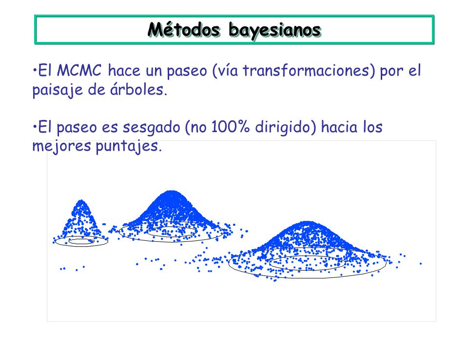 Métodos bayesianos El MCMC hace un paseo (vía transformaciones) por el paisaje de árboles.
