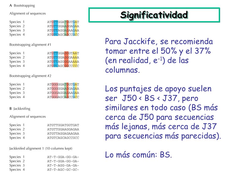 Significatividad Para Jacckife, se recomienda tomar entre el 50% y el 37% (en realidad, e-1) de las columnas.