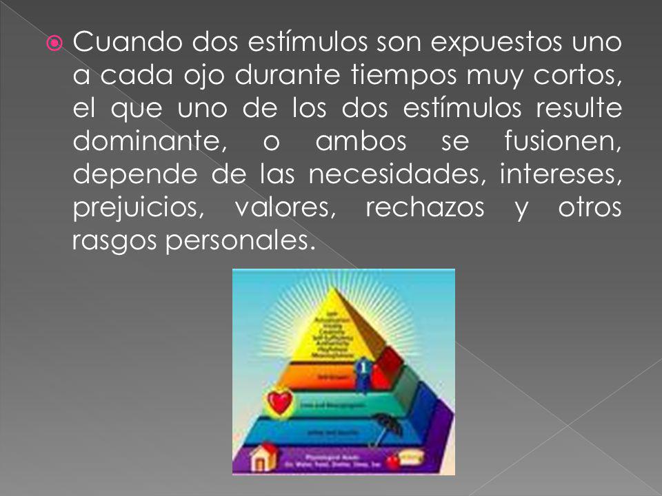 Cuando dos estímulos son expuestos uno a cada ojo durante tiempos muy cortos, el que uno de los dos estímulos resulte dominante, o ambos se fusionen, depende de las necesidades, intereses, prejuicios, valores, rechazos y otros rasgos personales.