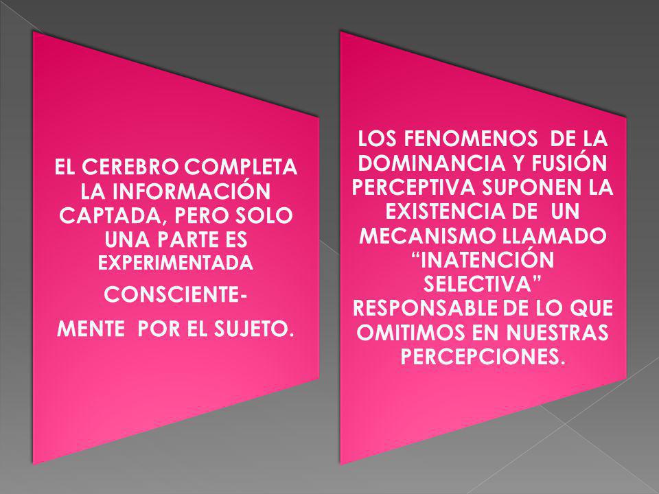 EL CEREBRO COMPLETA LA INFORMACIÓN CAPTADA, PERO SOLO UNA PARTE ES EXPERIMENTADA