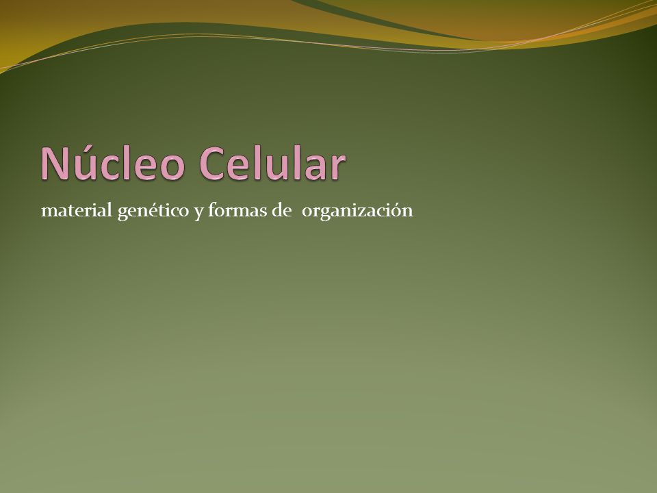 Núcleo Celular material genético y formas de organización