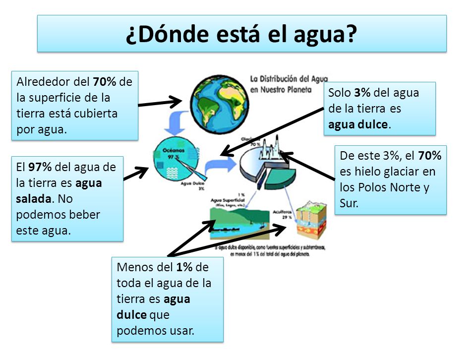 ¿Dónde está el agua Alrededor del 70% de la superficie de la tierra está cubierta por agua. Solo 3% del agua de la tierra es agua dulce.