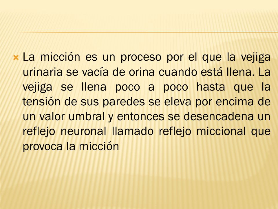 La micción es un proceso por el que la vejiga urinaria se vacía de orina cuando está llena.