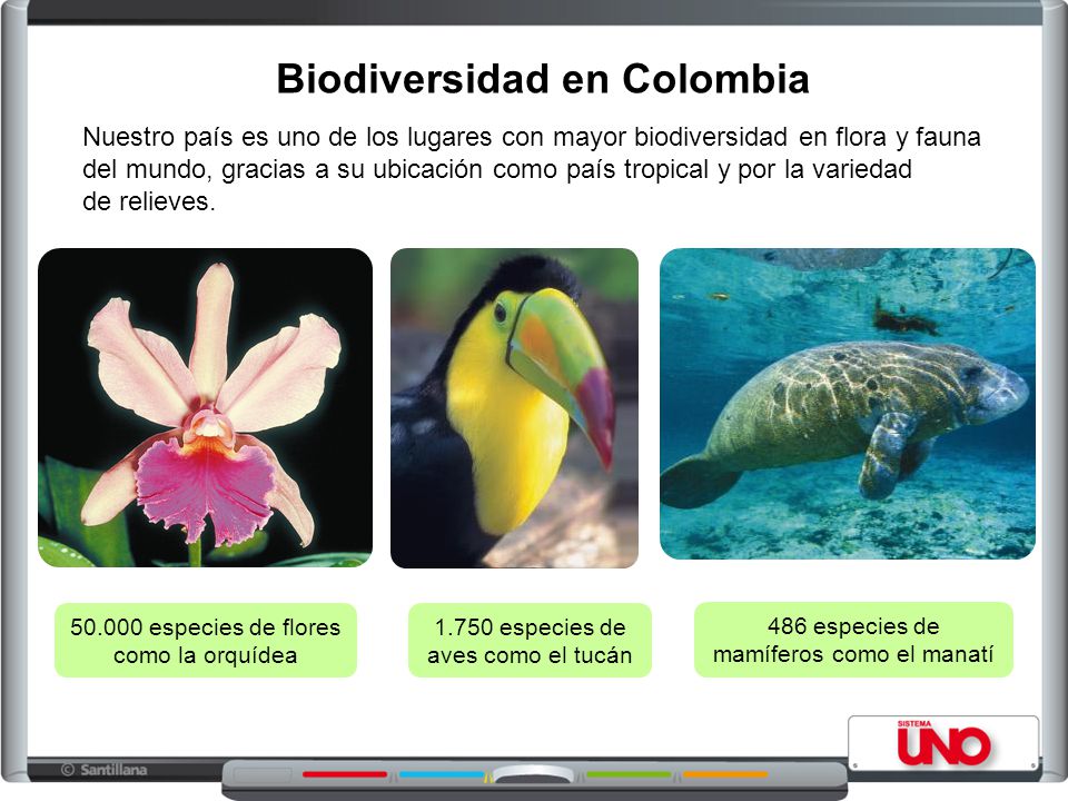 Biodiversidad en Colombia