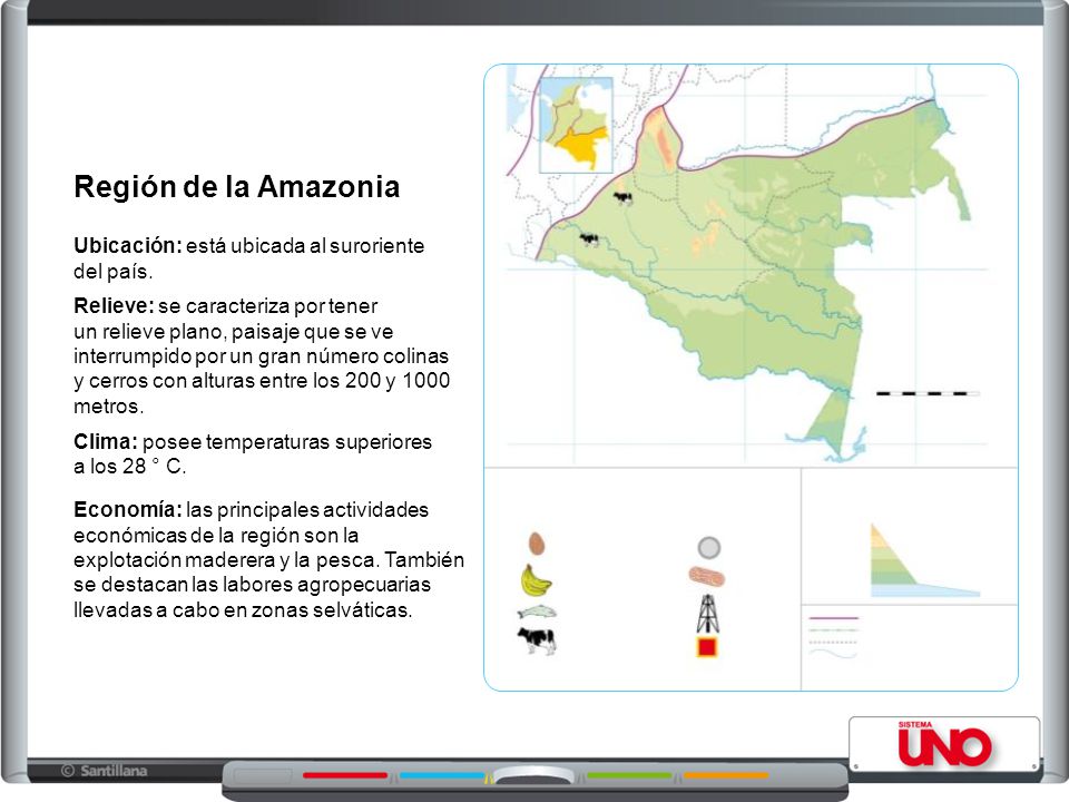 Región de la Amazonia Ubicación: está ubicada al suroriente del país.