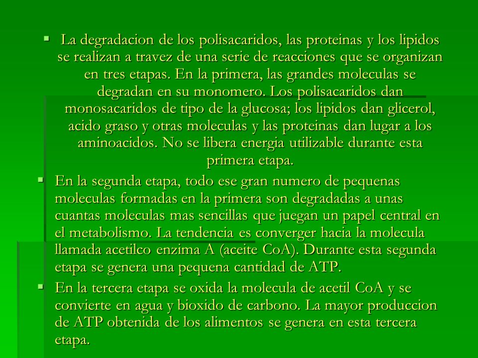 La degradacion de los polisacaridos, las proteinas y los lipidos se realizan a travez de una serie de reacciones que se organizan en tres etapas. En la primera, las grandes moleculas se degradan en su monomero. Los polisacaridos dan monosacaridos de tipo de la glucosa; los lipidos dan glicerol, acido graso y otras moleculas y las proteinas dan lugar a los aminoacidos. No se libera energia utilizable durante esta primera etapa.