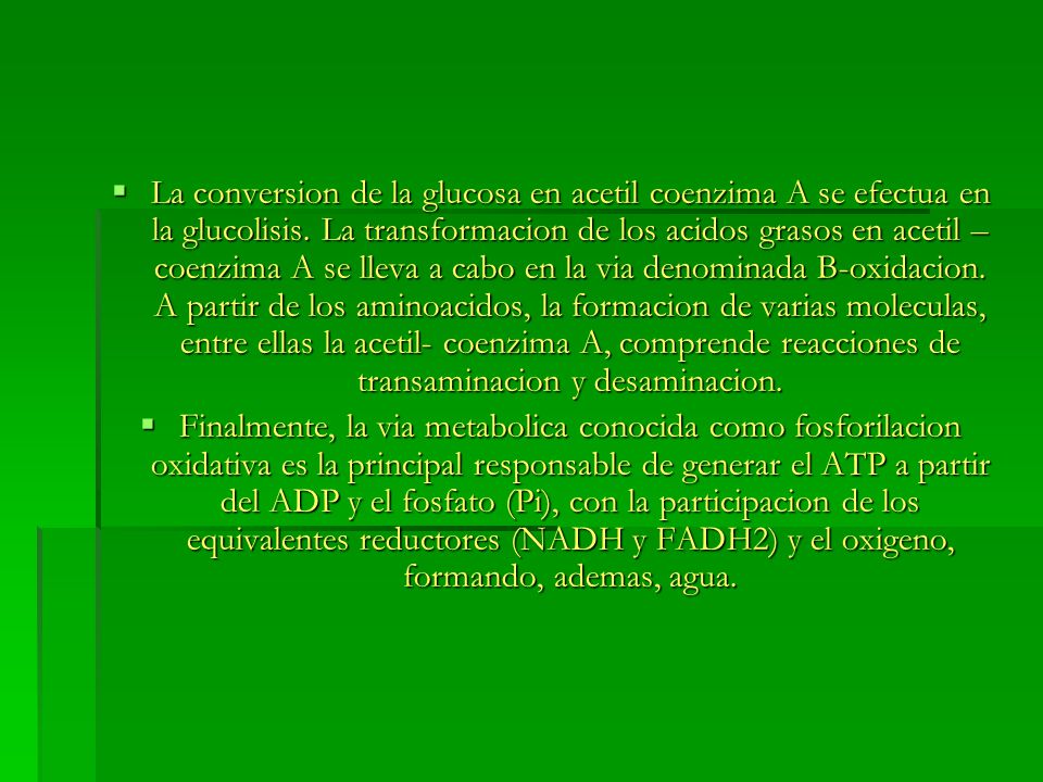 La conversion de la glucosa en acetil coenzima A se efectua en la glucolisis. La transformacion de los acidos grasos en acetil – coenzima A se lleva a cabo en la via denominada B-oxidacion. A partir de los aminoacidos, la formacion de varias moleculas, entre ellas la acetil- coenzima A, comprende reacciones de transaminacion y desaminacion.