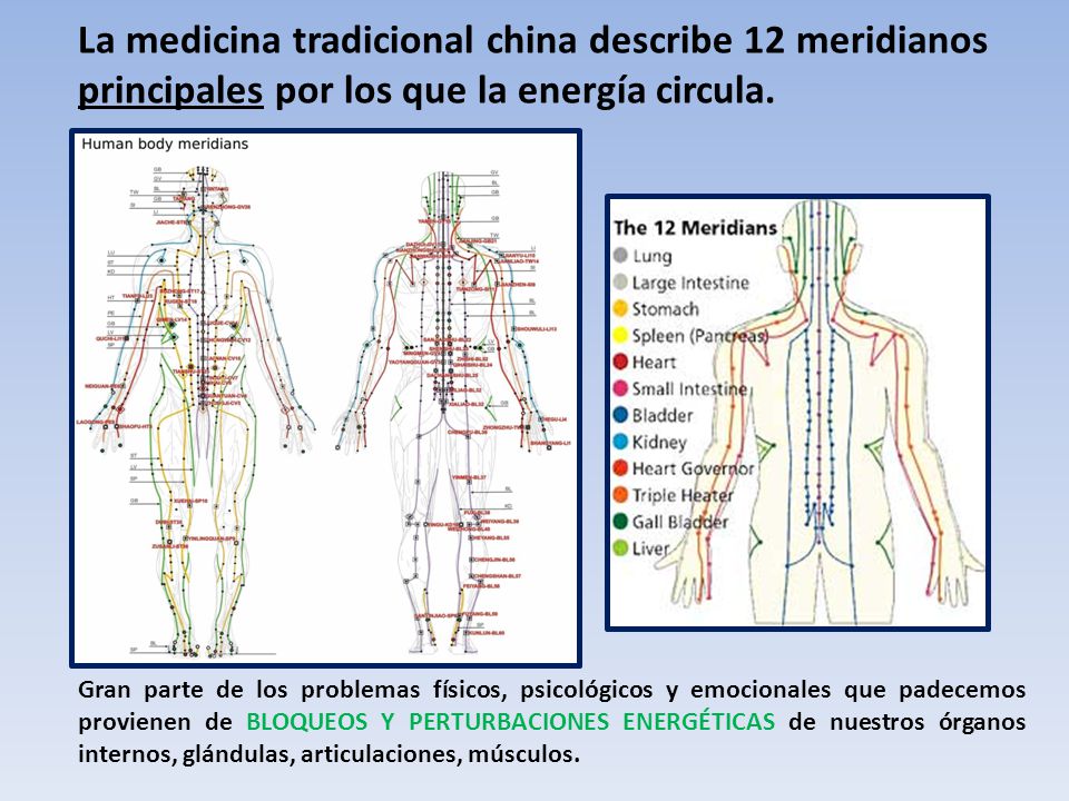 La medicina tradicional china describe 12 meridianos principales por los que la energía circula.