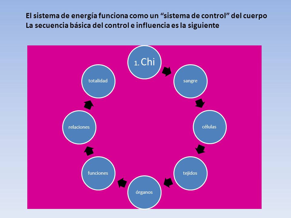 El sistema de energía funciona como un sistema de control del cuerpo