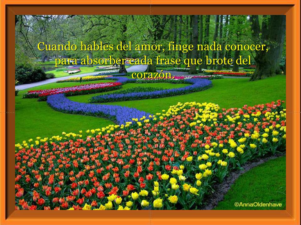 Cuando hables del amor, finge nada conocer, para absorber cada frase que brote del corazón.