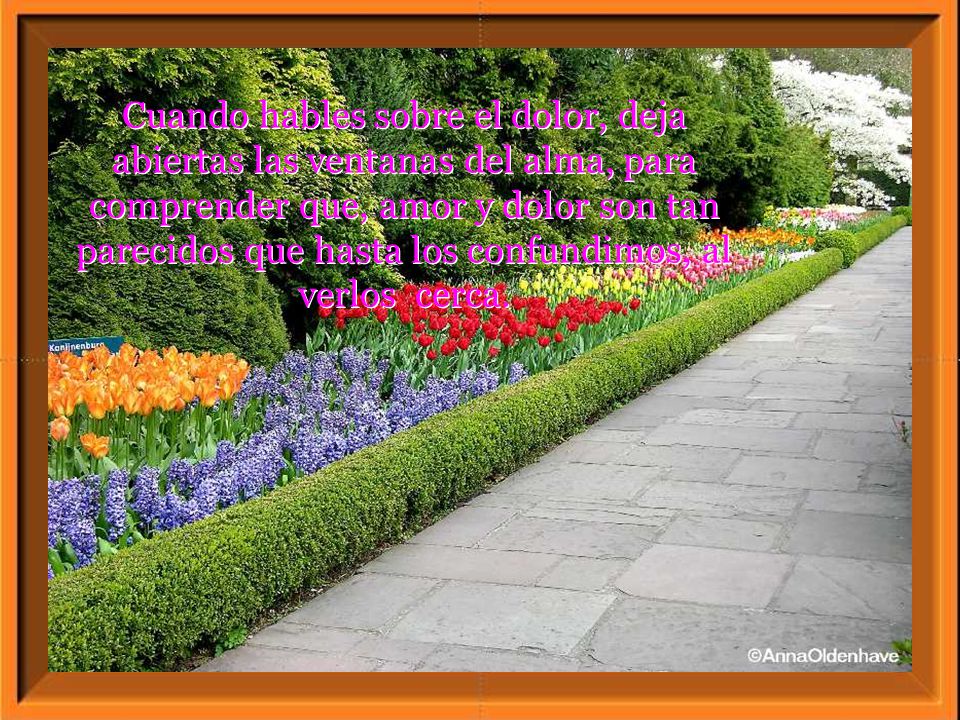 Cuando hables sobre el dolor, deja abiertas las ventanas del alma, para comprender que, amor y dolor son tan parecidos que hasta los confundimos, al verlos cerca.