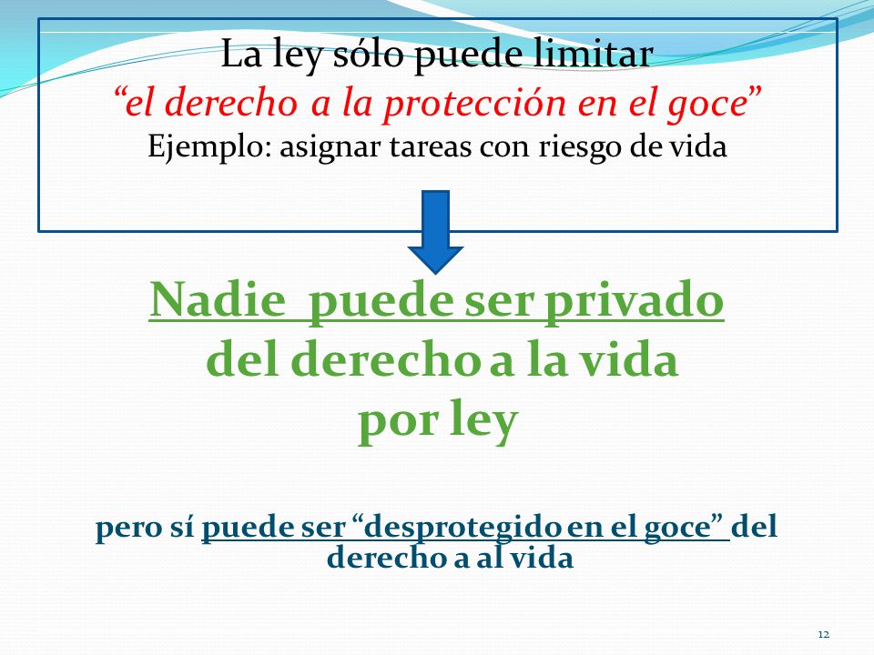 Nadie puede ser privado del derecho a la vida por ley