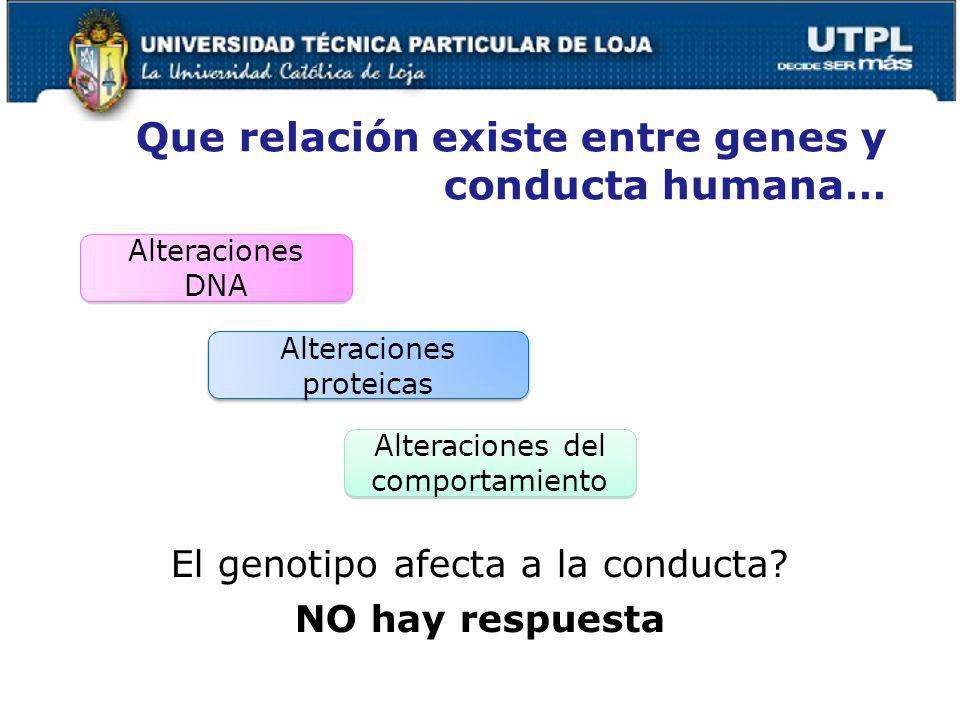 Que relación existe entre genes y conducta humana…