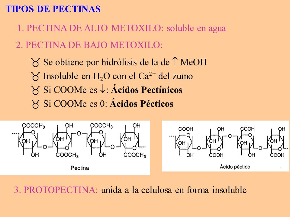 TIPOS DE PECTINAS 2. PECTINA DE BAJO METOXILO: Se obtiene por hidrólisis de la de  MeOH. Insoluble en H2O con el Ca2+ del zumo.