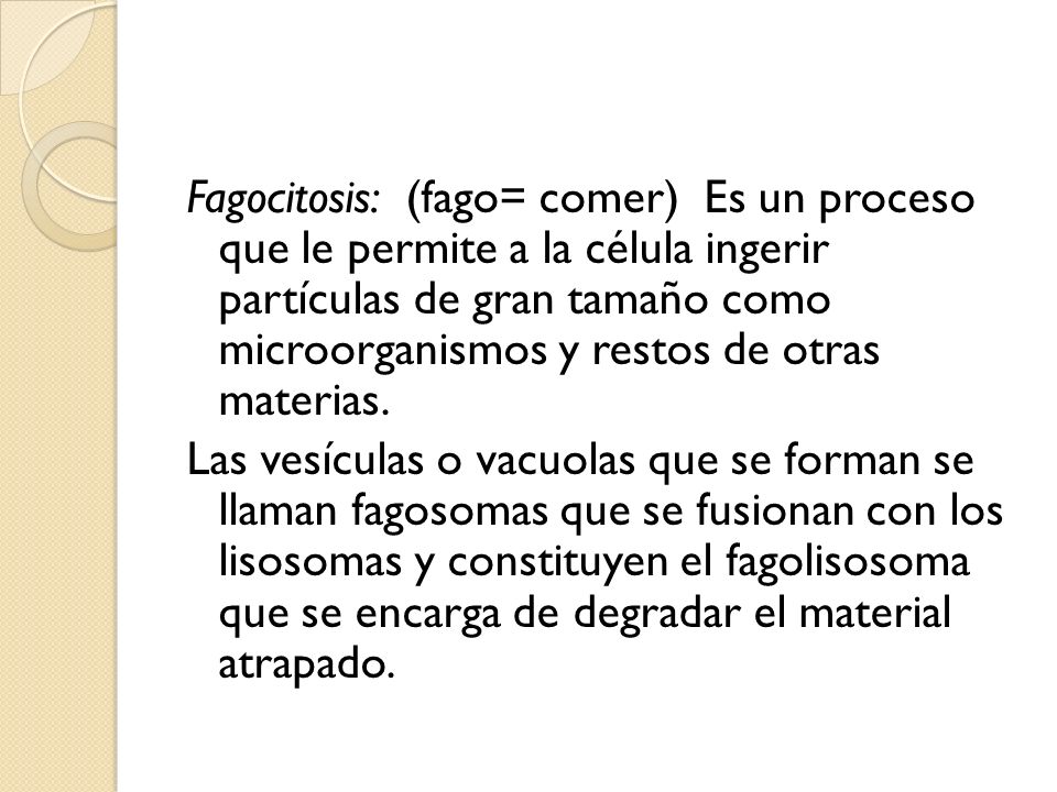 Fagocitosis: (fago= comer) Es un proceso que le permite a la célula ingerir partículas de gran tamaño como microorganismos y restos de otras materias.