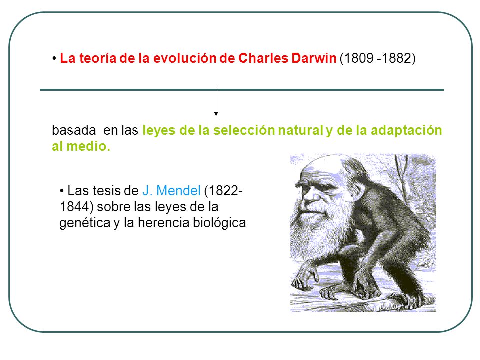 La teoría de la evolución de Charles Darwin ( )