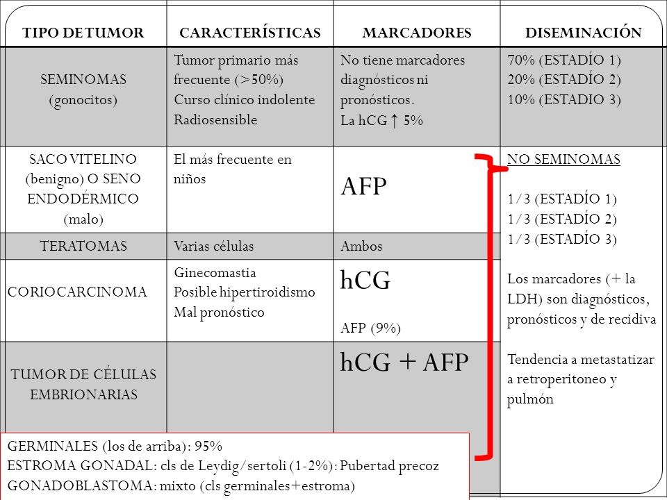AFP hCG hCG + AFP TIPO DE TUMOR CARACTERÍSTICAS MARCADORES