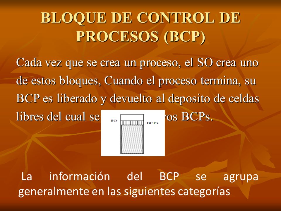 BLOQUE DE CONTROL DE PROCESOS (BCP)
