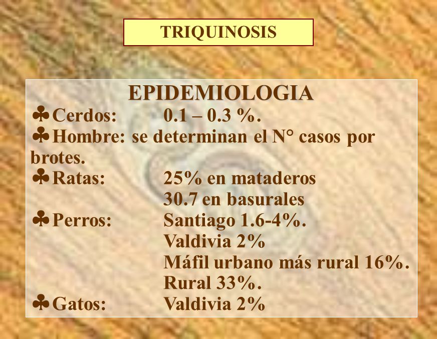 EPIDEMIOLOGIA Cerdos: 0.1 – 0.3 %.