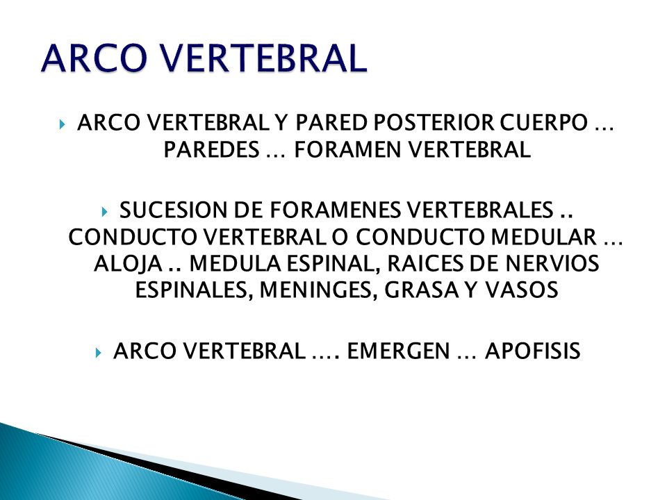 ARCO VERTEBRAL Y PARED POSTERIOR CUERPO … PAREDES … FORAMEN VERTEBRAL