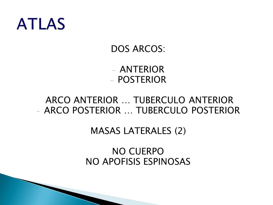 ATLAS DOS ARCOS: ANTERIOR POSTERIOR ARCO ANTERIOR … TUBERCULO ANTERIOR