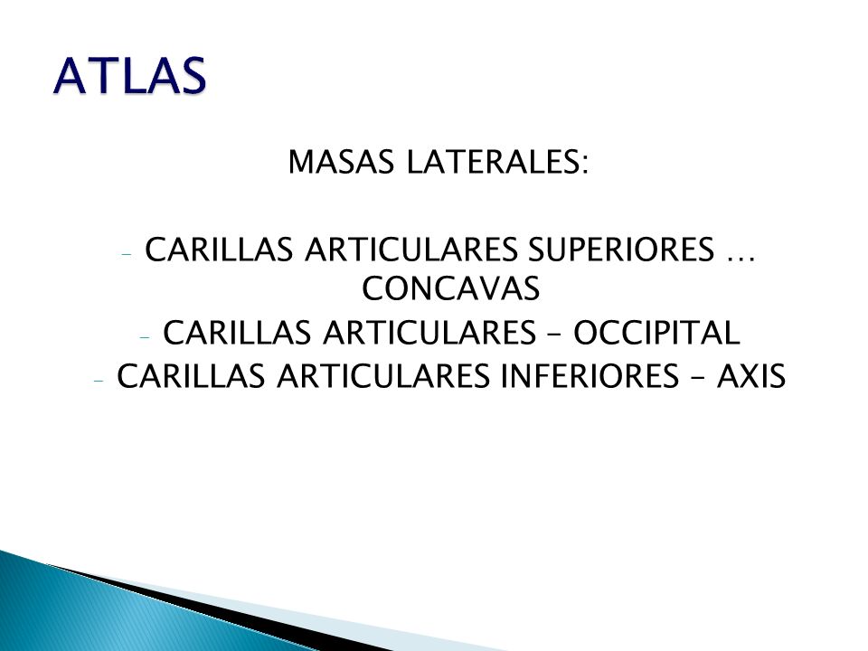 ATLAS MASAS LATERALES: CARILLAS ARTICULARES SUPERIORES … CONCAVAS