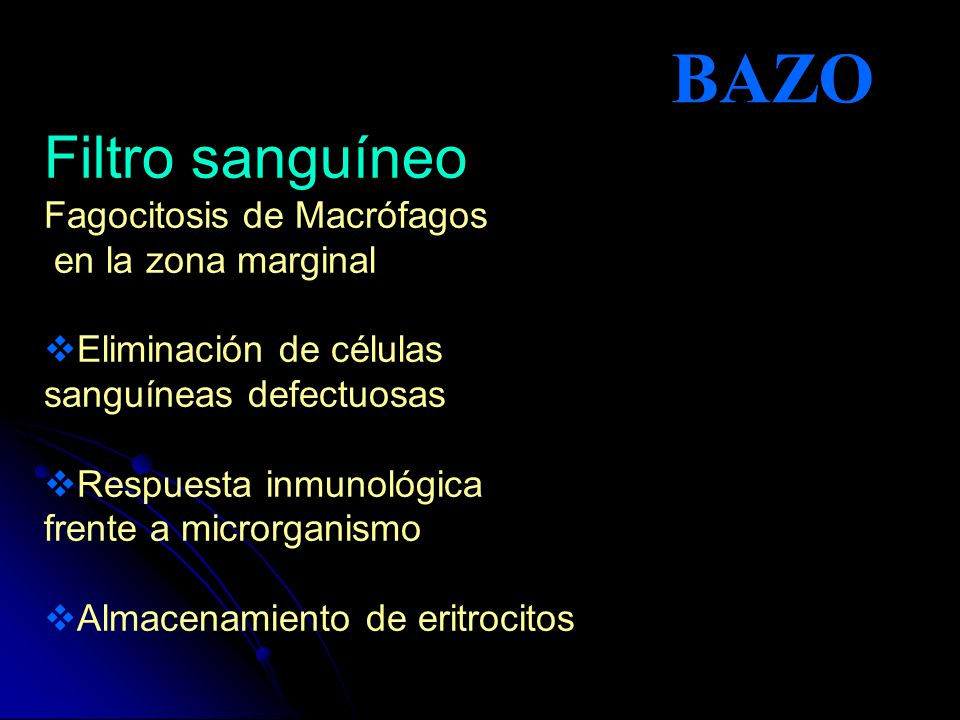 BAZO Filtro sanguíneo Fagocitosis de Macrófagos en la zona marginal