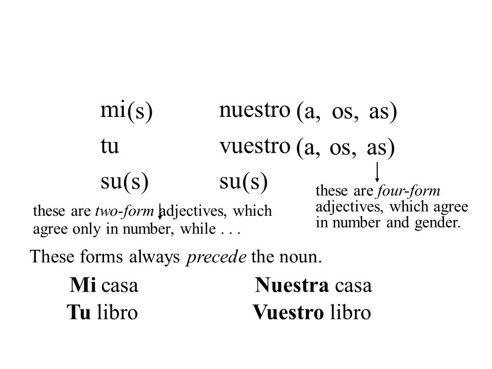 mi (s) nuestro (a, os, as) tu vuestro (a, os, as) su (s) su (s)