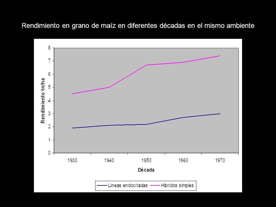 Rendimiento en grano de maíz en diferentes décadas en el mismo ambiente