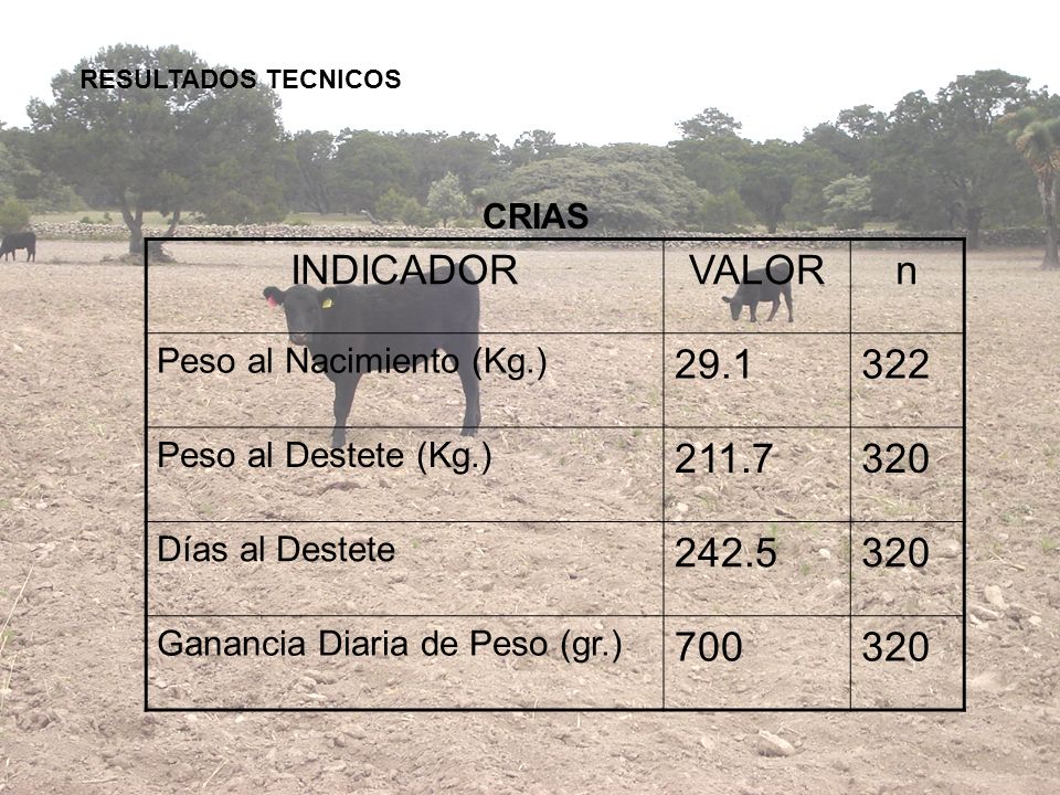 RESULTADOS TECNICOS CRIAS. INDICADOR. VALOR. n. Peso al Nacimiento (Kg.) Peso al Destete (Kg.)