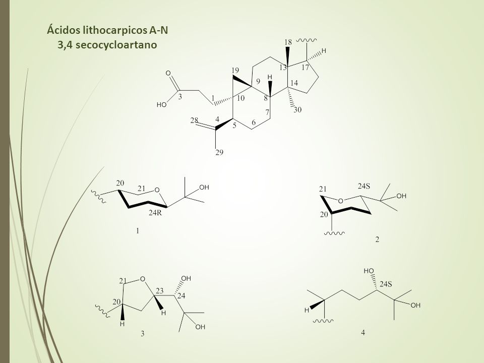Ácidos lithocarpicos A-N