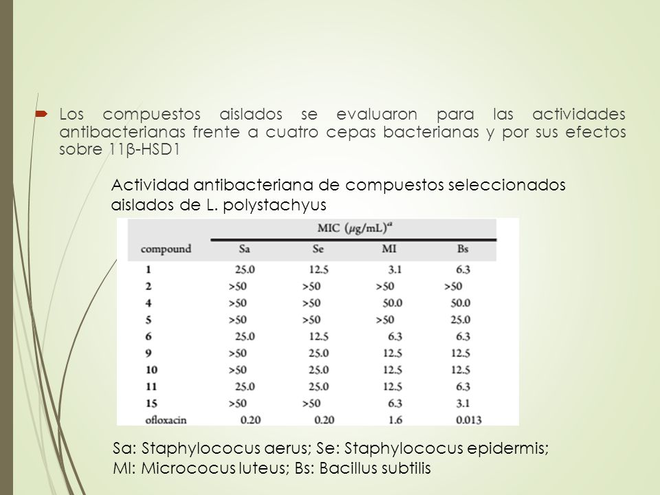 Los compuestos aislados se evaluaron para las actividades antibacterianas frente a cuatro cepas bacterianas y por sus efectos sobre 11β-HSD1