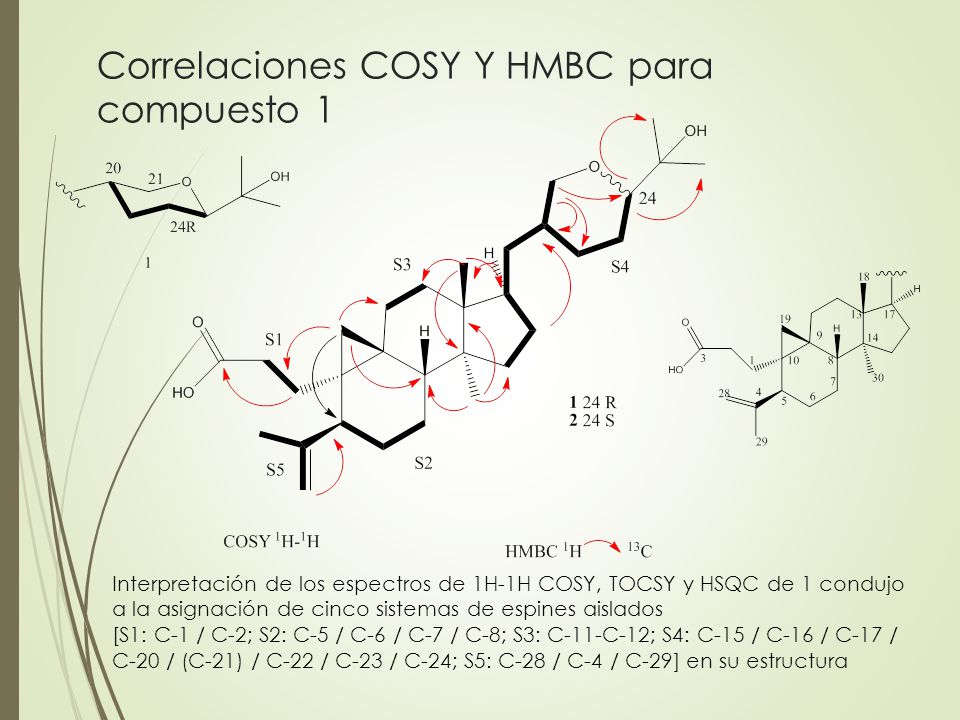 Correlaciones COSY Y HMBC para compuesto 1
