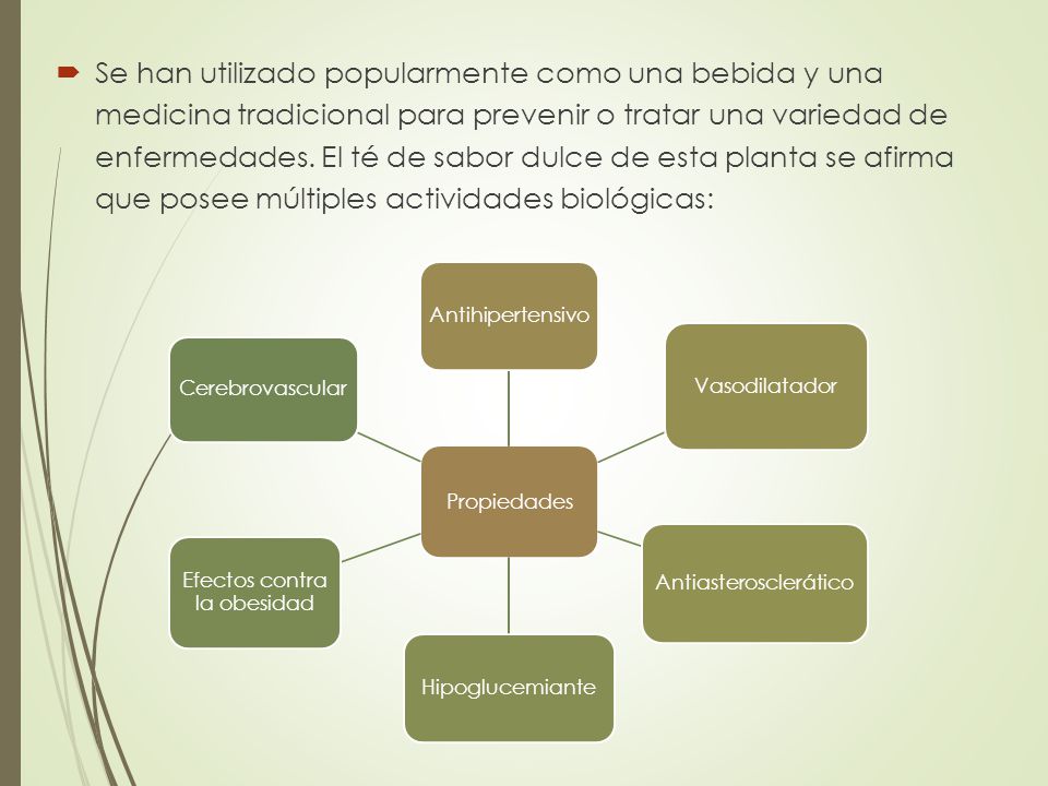 Se han utilizado popularmente como una bebida y una medicina tradicional para prevenir o tratar una variedad de enfermedades. El té de sabor dulce de esta planta se afirma que posee múltiples actividades biológicas: