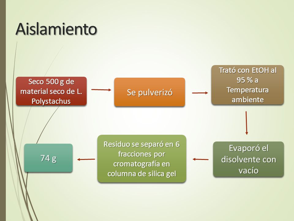 Aislamiento Se pulverizó Evaporó el disolvente con vacío 74 g