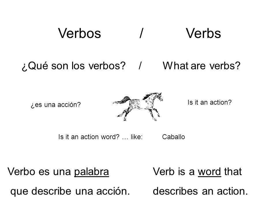 Verbos / Verbs ¿Qué son los verbos / What are verbs