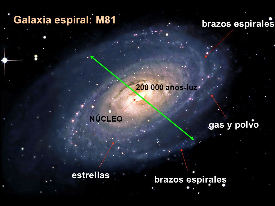 Galaxia espiral: M81 brazos espirales gas y polvo estrellas