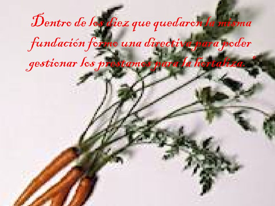 Dentro de los diez que quedaron la misma fundación formo una directiva para poder gestionar los prestamos para la hortaliza.