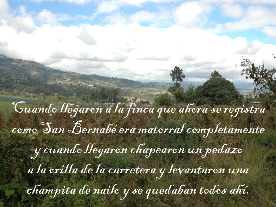 Cuando llegaron a la finca que ahora se registra como San Bernabé era matorral completamente y cuando llegaron chapearon un pedazo a la orilla de la carretera y levantaron una champita de nailo y se quedaban todos ahí.