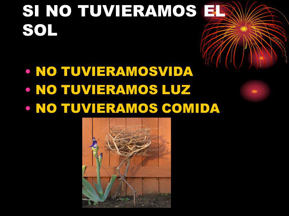 SI NO TUVIERAMOS EL SOL NO TUVIERAMOSVIDA NO TUVIERAMOS LUZ