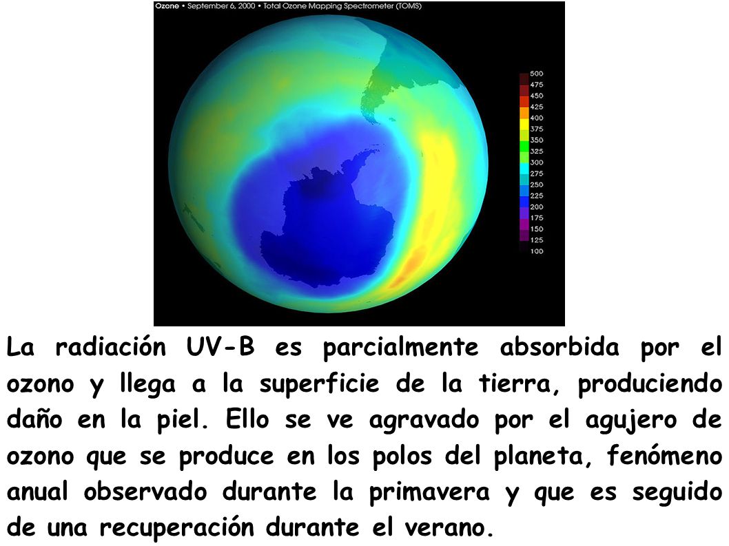 La radiación UV-B es parcialmente absorbida por el ozono y llega a la superficie de la tierra, produciendo daño en la piel.